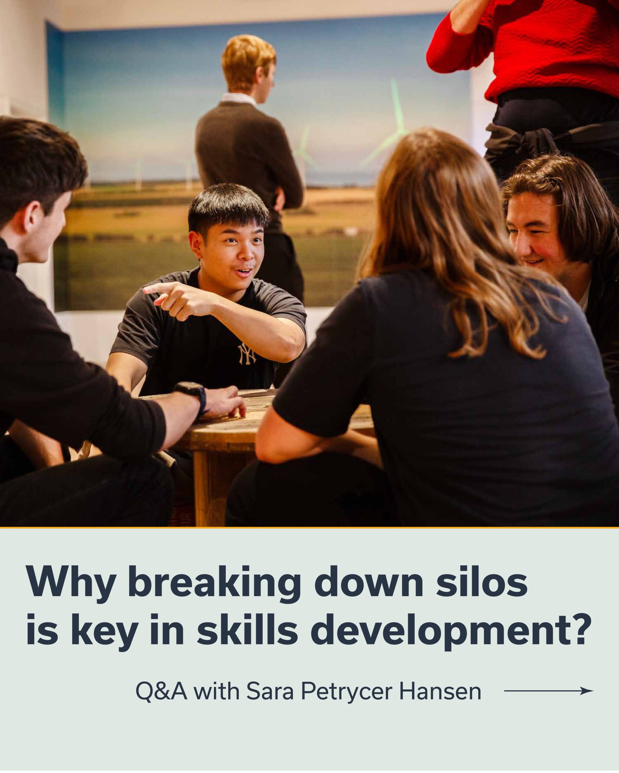 Silos in skills development